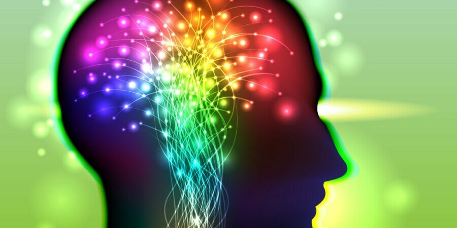intuition-image-1