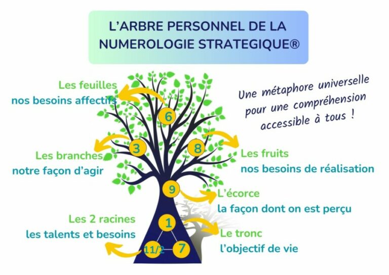 arbre personnel numérologie stratégique®