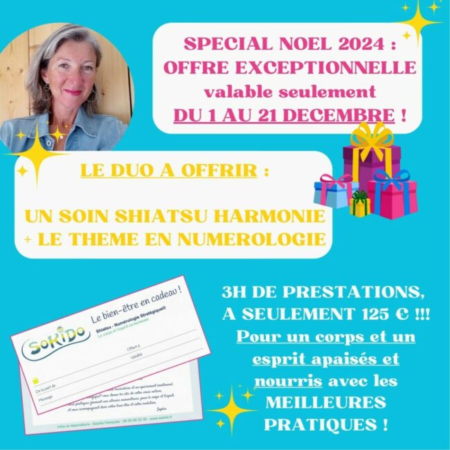 CARTE DUO NOEL 2024 CARTE CADEAU SHIATSU NUMEROLOGIE STRATEGIQUE®