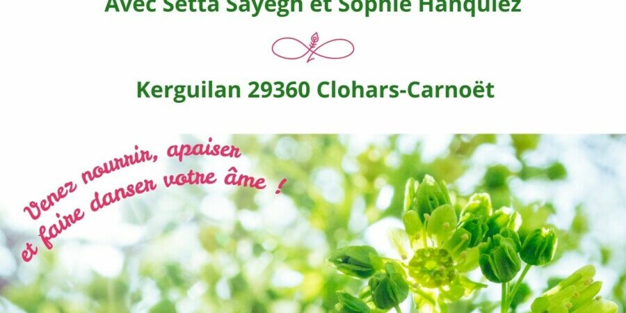 FLYER 1 RECTO stage se reconnecter à son corps spirituel : quête de sens et d'évolution, l'énergie et le monde invisible, outils pratiques pour avancer.